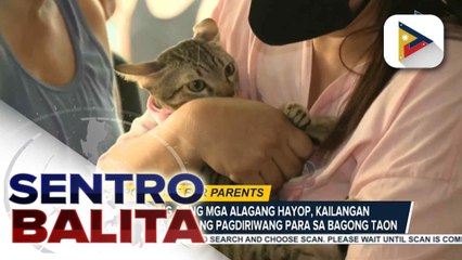 Alamin: Tips para matiyak na stress-free ang ating mga alagang hayop sa pagsalubong sa Bagong Taon | ulat ni Rod Lagusad