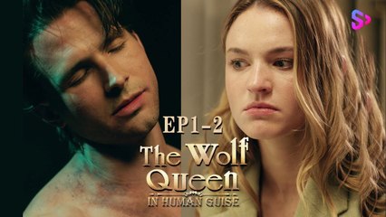 OMG! The Butcher Son is the Family Savior