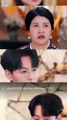 Hired to End My Own Marriage Drama Movies English Sub