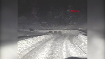 Kardan kapanan yolda çalışma yapan ekipler, 4 ayıyla karşılaştı