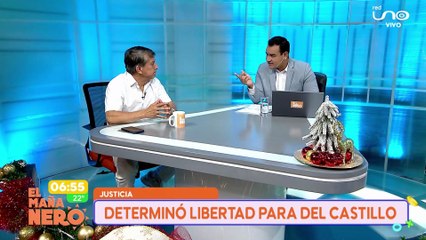 ANALISTA EN SEGURIDAD Y DEFENSA