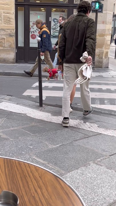 Comme les doggos parisiens, n’oubliez pas votre tenue de lumière ce soir ✨Bon réveillon et rendez-vous en 2026 !