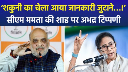 सीएम ममता बनर्जी ने ‘शकुनी के चेले’ से की गृह मंत्री अमित शाह की तुलना, बीजेपी नेताओं ने ममता को दिया करारा जवाब!