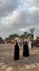 Sheikh Zayed Festival celebrations