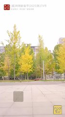 Married by Fate, Feared by All