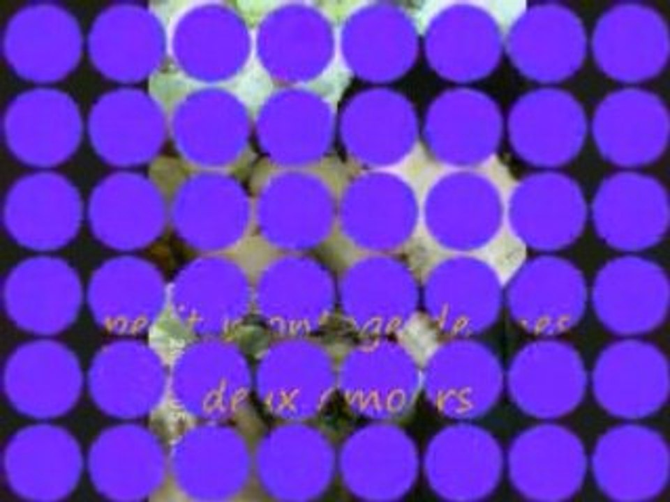 Ma petite  famille a moi