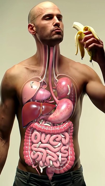 Inside_Your_Gut__3D_Animation_of_Banana_Digestion