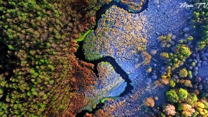 Zen Meditation Music For Inner Peace - Peaceful And Calming Asian Flute And Bell Chimes