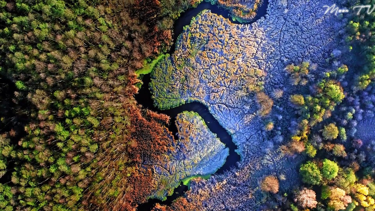 Zen Meditation Music For Inner Peace - Peaceful And Calming Asian Flute And Bell Chimes