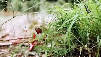 Soldiers Shrunk into Quantum Realm | Micro-Combat Full Sci-Fi Movie | HD