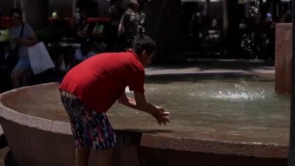 Alerta roja en zonas centrales de Chile por ola de calor