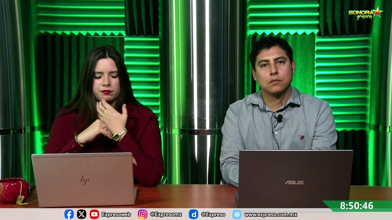 Esterilización de mascotas: edades recomendadas y beneficios clave