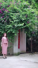 Love After Lies Chinese Drama