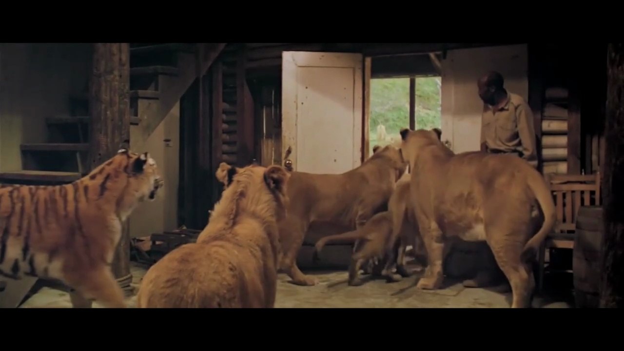Roar – die löwen sind los (1981) #ganzerfilm #deutsch #hd