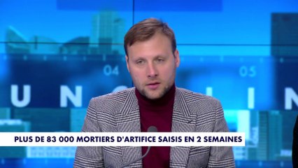 Alexandre Devecchio : «Notre pays est plus atteint en termes d'insécurité que l'Allemagne»