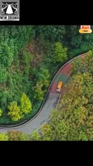 What Racing Ace Is A Truck Guy New Movie