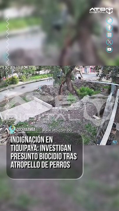 Indignación en Tiquipaya: investigan presunto biocidio tras atropello de perros