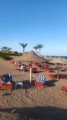 قبل ساعات من 2026.. شاهد كيف يستمتع السائحون بشمس شرم الشيخ في آخر أيام السنة