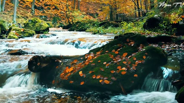 Calming Music For Anxiety - Tranquil Nature Sounds And Soothing Melodies