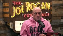 The Joe Rogan Experience S2025E178 #2427 Bret Weinstein