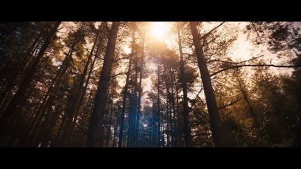 Avengers: Doomsday | movie | 2026 | Official Trailer