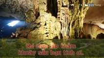 (52450) Lý Chim Quyên tân cổ 