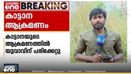 കാട്ടാനയുടെ ആക്രമണത്തിൽ യുവാവിന് പരിക്ക്...