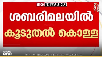 ശബരിമലയിൽ നടന്നത് വൻകൊള്ള.. ശിവ, വ്യാളീ രൂപങ്ങളിലെയും സ്വർണം കൊള്ളയടിച്ചു...