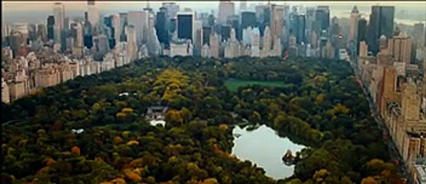 The Proposal