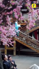 EP 22【Snatching a Playboy Husband】#flickreels