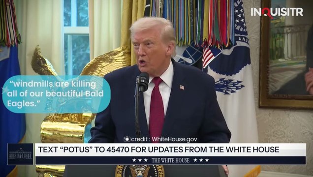 Gavin Newsom Brutally Mocks ‘Dozy Don’ Trump for Mistaking 'Falcon' for 'Bald Eagle'