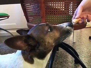 VTV Beginnings (r2): Andrea Schomburg and Matthias Lutzeyer / Galerie Katharina Krohn, Basel (2006)