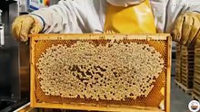 Honey Process Factory