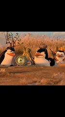 Penguin 🐧💀 . . . . . . . #instagram #viral #reel #edit #viralvideos #editing #follow #editor #edits #fypシ