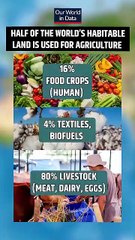 Why Indians are Vegetarian_ __ Acharya Prashant