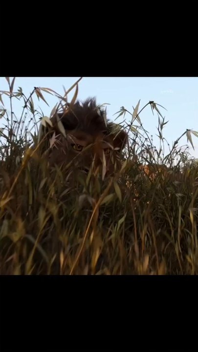 Watch David From Angel Studios in theaters now, just in time for Christmas and to watch with the Your family Like Follow And Share The Video With Your Friends. #david #angelstudios #fyppage