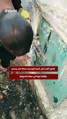 فتحوا القبر لدفن الميت فوجدوا مملكة نحل وعسل.. واقعة غريبة في جنازة بالمنوفية