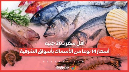 أقل سعر بـ 20 جنيه..أسعار 14 نوعا من الأسماك بأسواق الشرقية