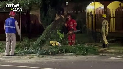 Queda de galho interdita trecho da Rua Rio de Janeiro, no Centro de Cascavel