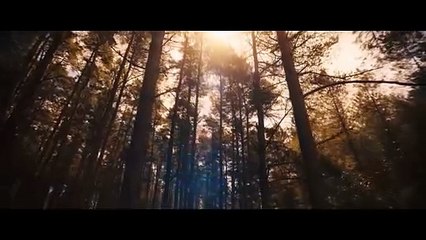 Avengers Doomsday Trailer - Thor