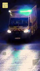 Boss, Your Executive Secretary has Resigned FULL EPISODE