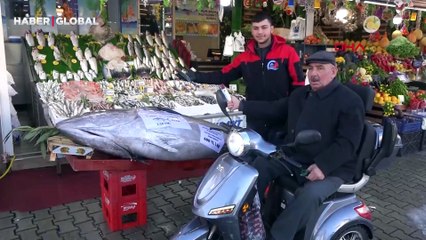 Düzce açıklarında şaşırtan anlar, 353 kiloluk orkinos yakalandı: "Forkliftle indirdik"