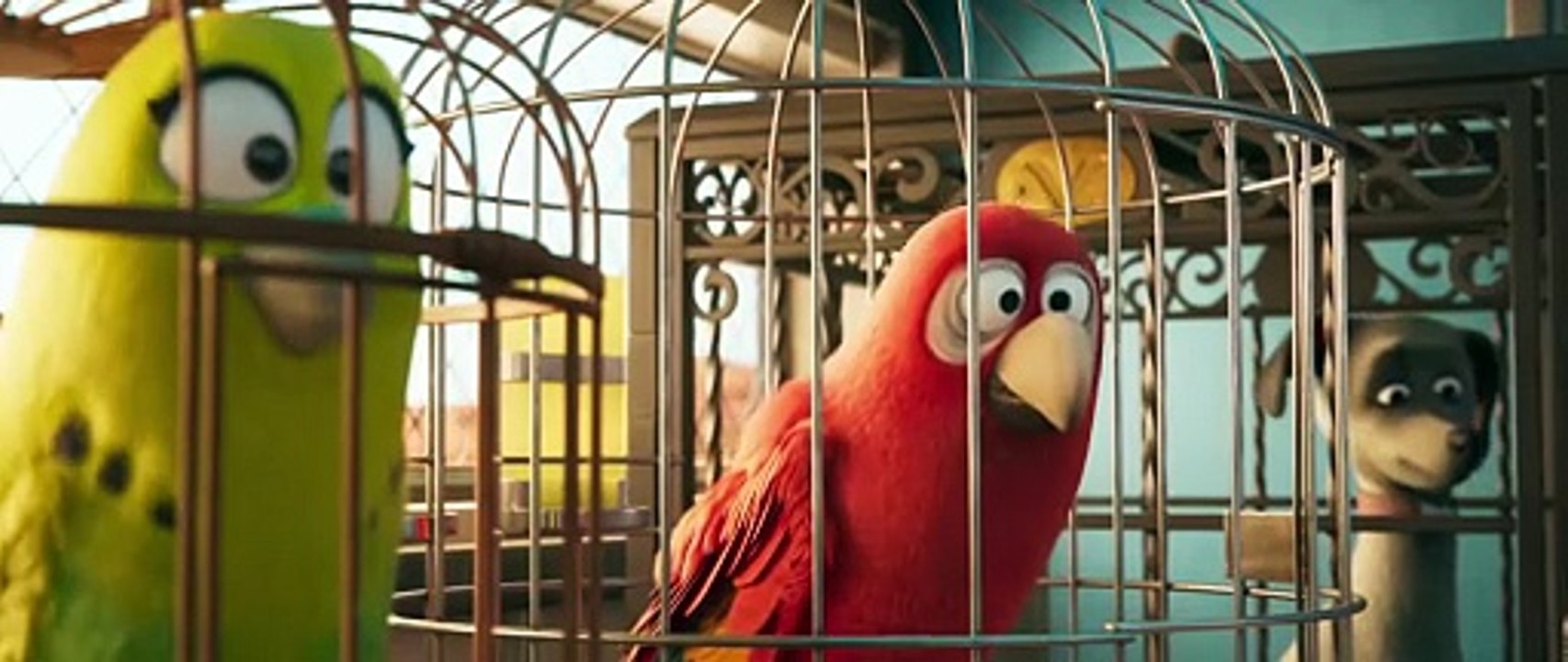 Pets On a Train : 2025 Latest Hollywood Movie 1080p Full HD