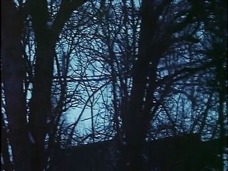 Louis Meissonnier Maître d'Ecole - 1984 - Episode 01 - Le Sauvageon