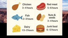 how long food stays in your system