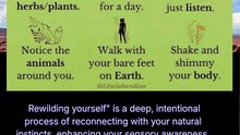 how to rewild yourself