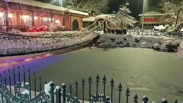 Göl dondu, ördekler yüzemeyince yürümeye başladı