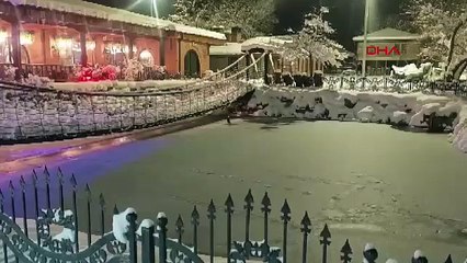 Göl dondu, ördekler yüzemeyince yürümeye başladı