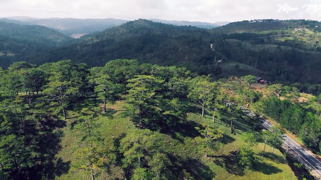 Relaxing Guitar Music For Peace Of Mind