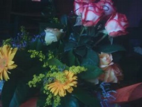 Diapo fleurs Guylène